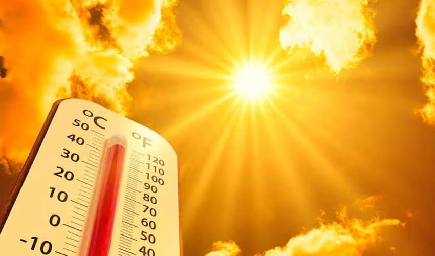 Stay Hydrated: Health Experts Share Tips for Beating the Heat