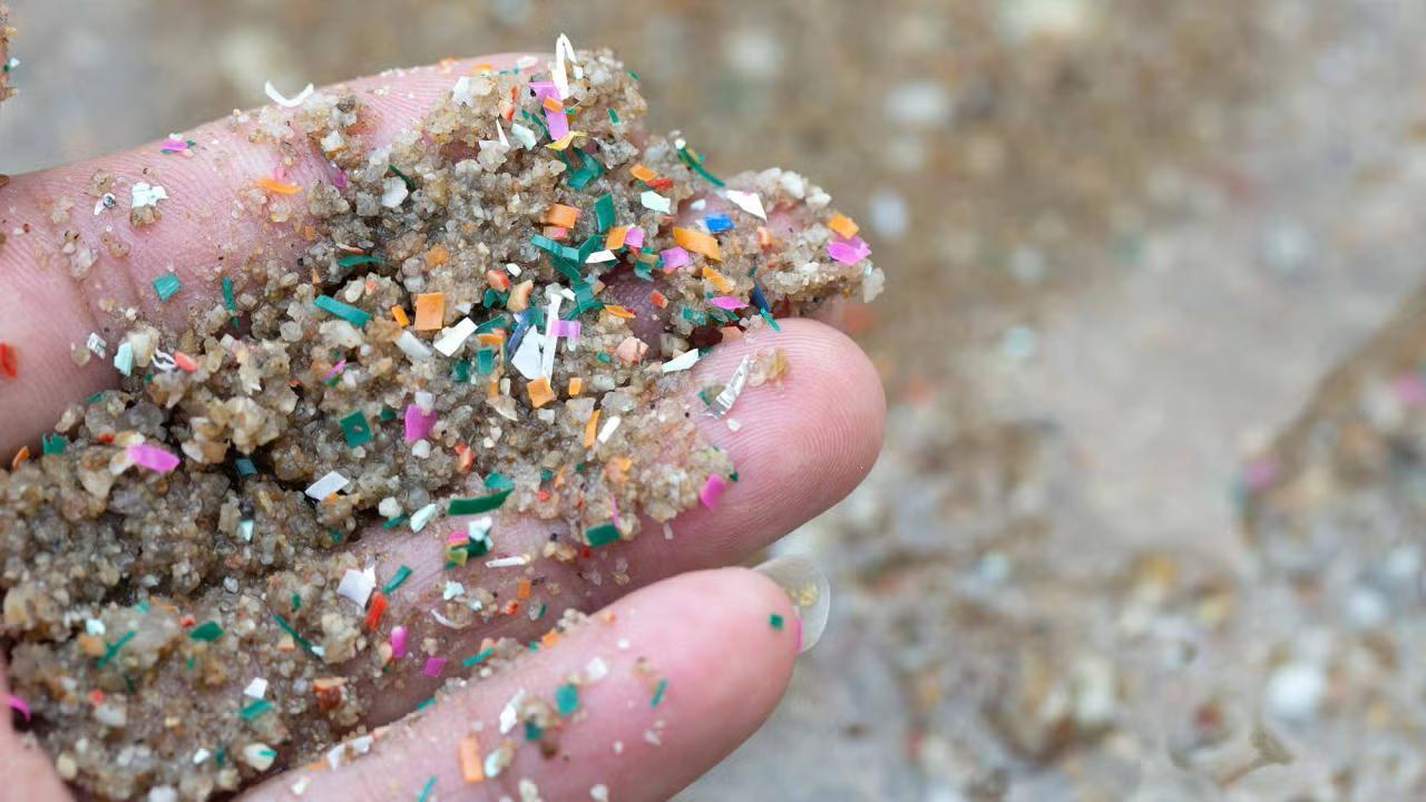Tiny Plastics, Big Health Risks