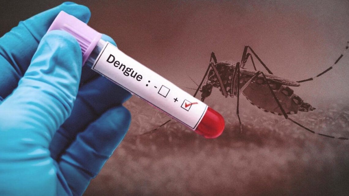 Dengue Cases Rise in Sindh