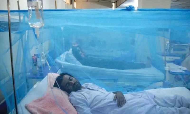 Dengue Patients Under Mosquito Nets
