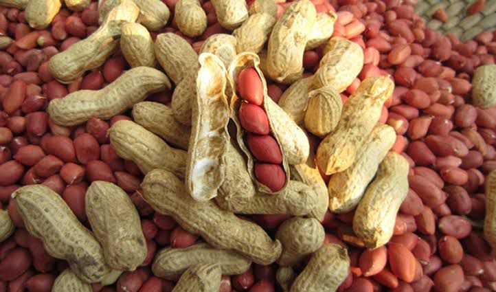 Peanuts with shell opened